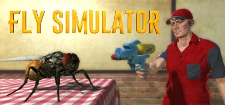 постер игры Fly Simulator