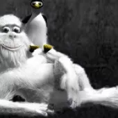 постер игры YetiSports