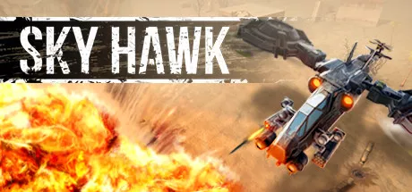 постер игры Sky Hawk