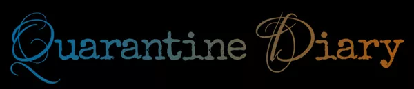 постер игры Quarantine Diary