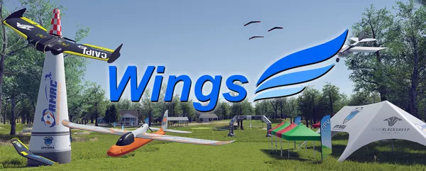 постер игры Wings Simulator