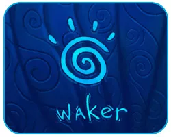постер игры Waker