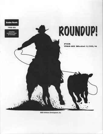 постер игры Roundup!