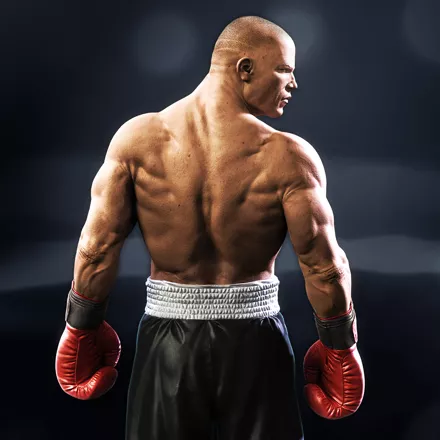 постер игры Real Boxing 2