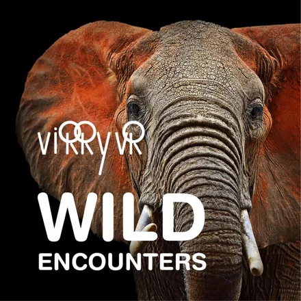 постер игры Virry VR: Wild Encounters