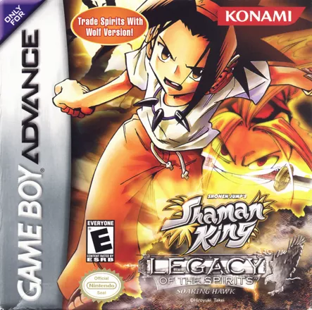 постер игры Shaman King: Legacy of the Spirits - Soaring Hawk