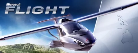 постер игры Microsoft Flight