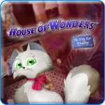постер игры House of Wonders: Kitty Kat Wedding