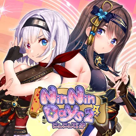 постер игры NinNinDays 2