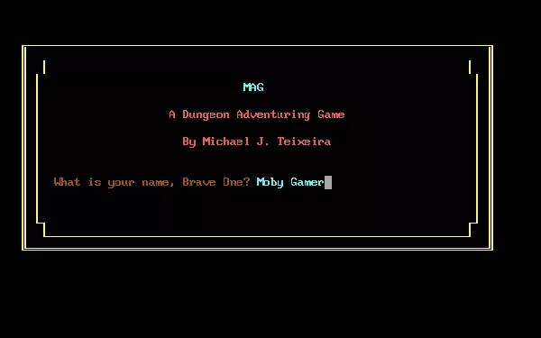 постер игры MAG