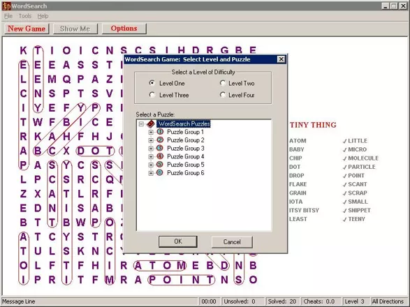 постер игры WordSearch