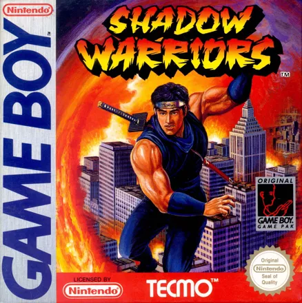 постер игры Ninja Gaiden Shadow