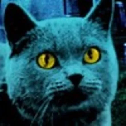 постер игры Pet Sematary