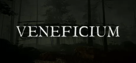 постер игры Veneficium