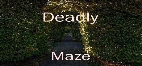 постер игры Deadly Maze