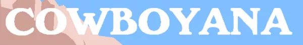постер игры Cowboyana