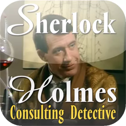 постер игры Sherlock Holmes: Consulting Detective 3 - The Case of the Mystified Murderess