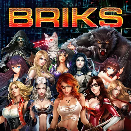 постер игры Briks