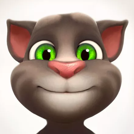 постер игры Talking Tom Cat