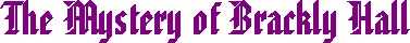 постер игры The Mystery of Brackly Hall