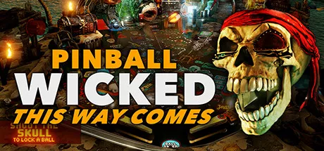 постер игры Pinball Wicked