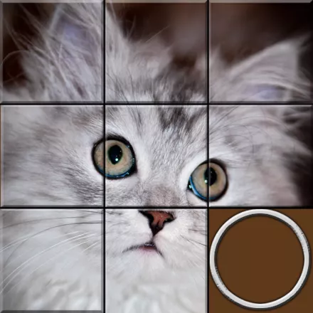 постер игры Sliding Puzzles