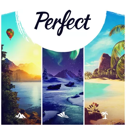постер игры Perfect