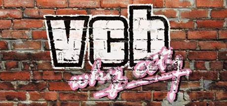постер игры VCB: Why City