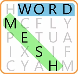 постер игры Word Mesh