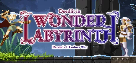 постер игры Record of Lodoss War: Deedlit in Wonder Labyrinth