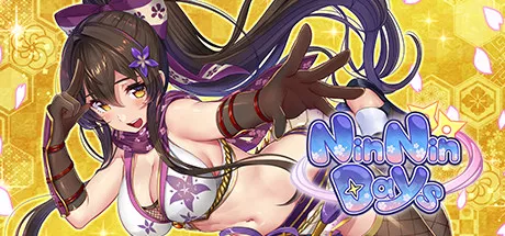 постер игры NinNinDays