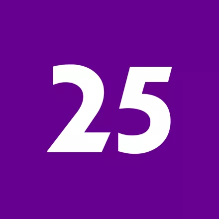 постер игры 25