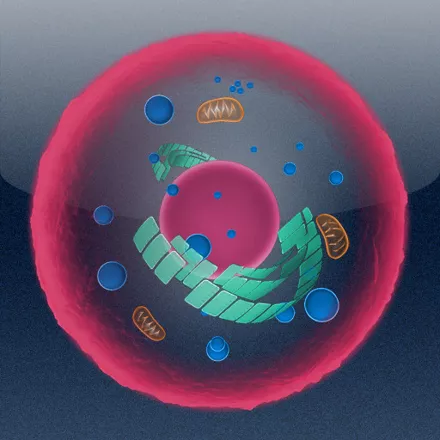 постер игры The 7th Guest: Infection