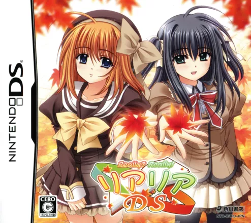 постер игры Really? Really! DS
