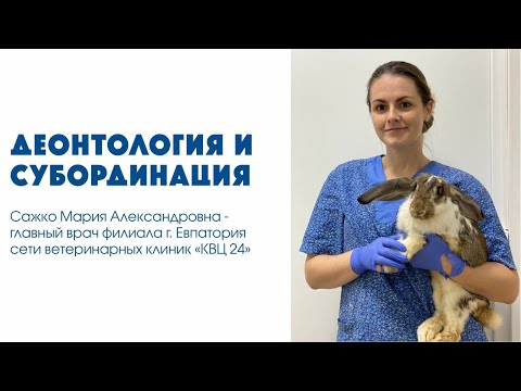 Видео: Деонтология и субординация | Ветеринарная школа