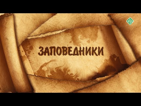 Видео: Новый фильм о заповеднике