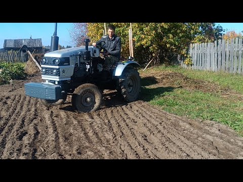 Видео: Прекрасный осенний день ☺️