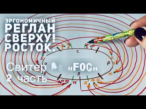 Видео: ВСЕ 👩🏼‍🎓 о РЕГЛАНЕ СВЕРХУ! РОСТОК: ИДЕАЛЬНЫЙ 👍 / СХЕМА / СВИТЕР СПИЦАМИ  🌬 "FOG" 🌬 2 часть