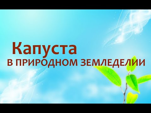 Видео: Природное земледелие - Капуста