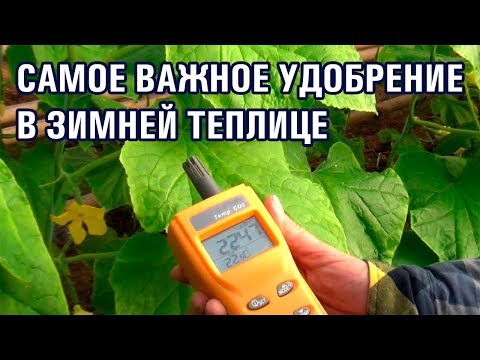 Видео: САМОЕ ВАЖНОЕ УДОБРЕНИЕ В ЗИМНЕЙ ТЕПЛИЦЕ (28-01-2019)
