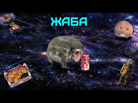 Видео: Бэбэй стал жабой во время просмотр фотожаб