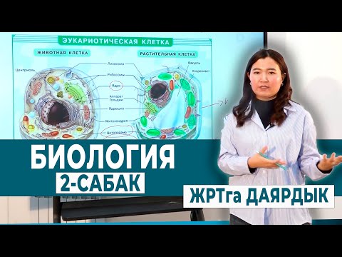Видео: БИОЛОГИЯ 2- САБАК. КЛЕТКА ЖАНА АНЫН НЕГИЗГИ ТҮЗҮЛҮШТӨРҮ | ЖРТга ДАЯРДЫК