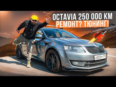 Видео: SKODA OCTAVIA A7 250 000 км тюнинг вместо ремонта!