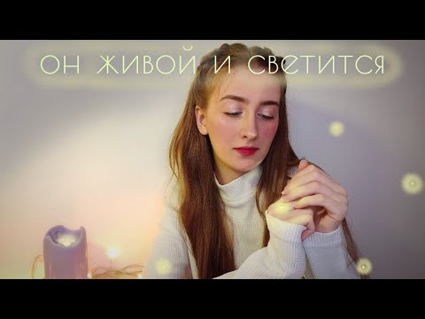 Видео: АСМР Тихий голос. ДЕНИСКИНЫ РАССКАЗЫ. Читаю Тебе перед сном