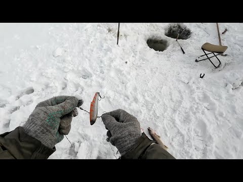 Видео: Поменял приманку и началось!