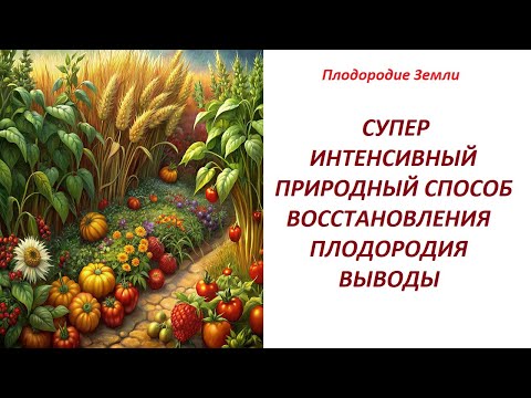 Видео: Растения, микробы и грибы сами создают плодородие #642|24