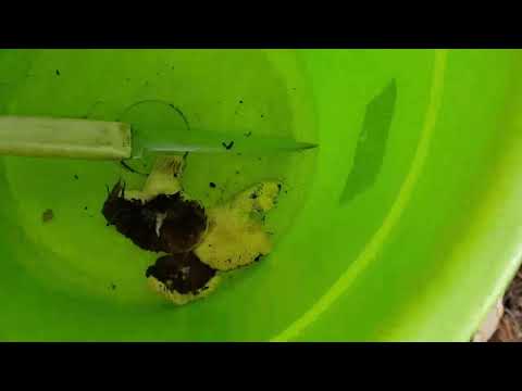 Видео: Это всегда удовольствие.