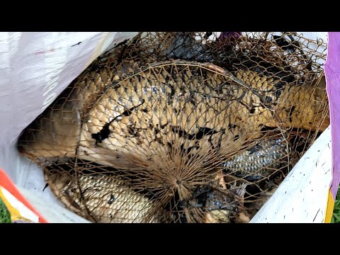 Видео: Рыбалка в Калужской области !!!  оз. Букань 09.06.2022г