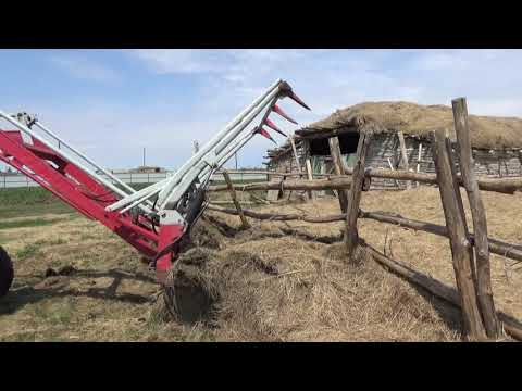 Видео: 1-я серия. Начали чистить и возить навоз.