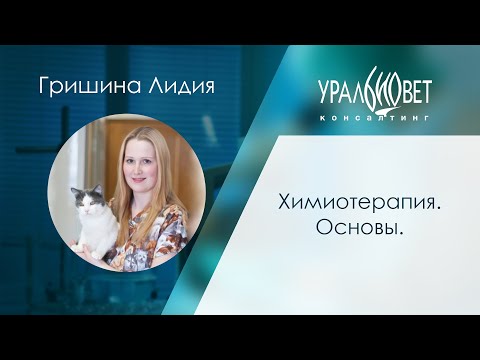 Видео: Химиотерапия для ветеринарных врачей. Гришина Лидия #убвк_онкология